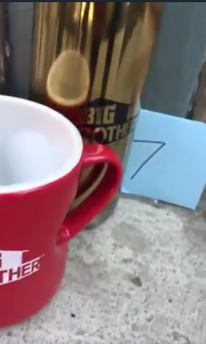 Big Brother 20 Teaser Mug