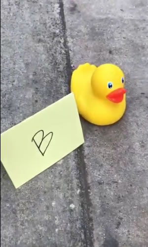 Big Brother 20 Teaser Duck