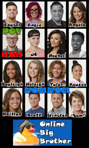 Big Brother 15 Cast: Meet the NEW House Guests! AND The Familiar Face Is...