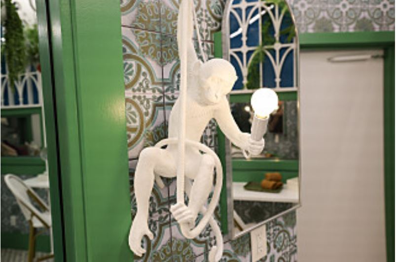 big brother 27 mystery house guest - monkey photo