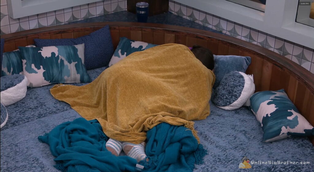 BB28 Mallory after being the renom laying in bed curled up.
