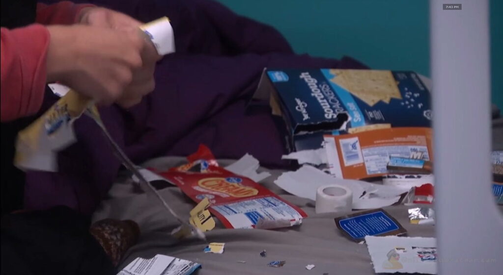 A piece from Mallory's food-wrapper art collection on Big Brother 28